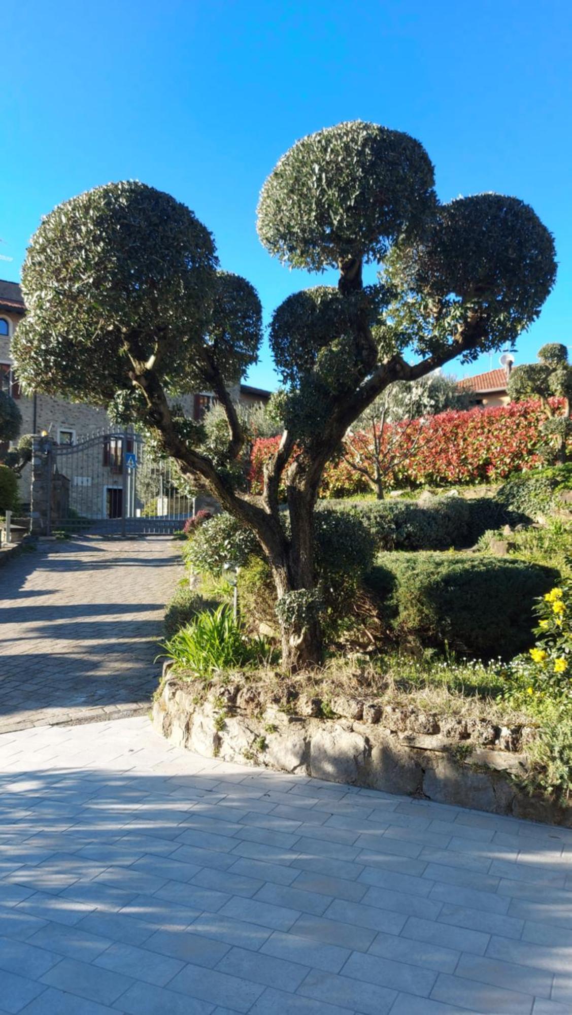 Al Vecchio Lavatoio Hotel Colle Brianza Buitenkant foto
